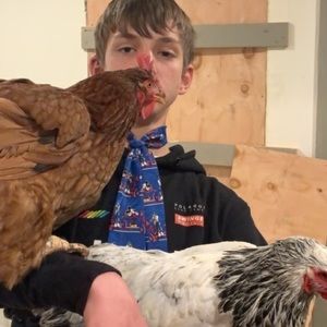 Meet your Posher, Ryan